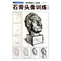 石膏头像训练 (提高篇)-结构素描入门挂图