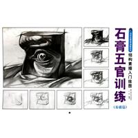 石膏五官训练 (基础篇)-结构素描入门挂图