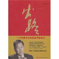 出路-一个区委书记的县政生态考察笔记