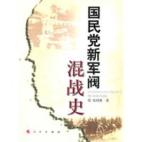 国民党新军阀混战史