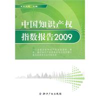 2009-中国知识产权指数报告