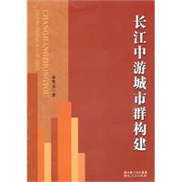 长江中游城市群构建