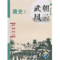 武朝风云:典藏版