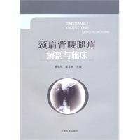 颈肩背腰腿痛解剖与临床