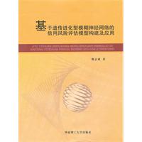 基于遗传进化型模糊神经网络的信用风险评估模型构建的应用