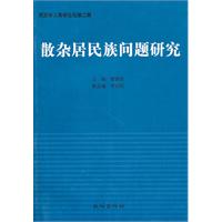 散杂居民族问题研究