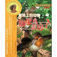 知更鸟盖房子-草地上的动物
