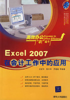 EXCEL2007在会计工作中的应用-(附光盘1张)