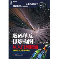 数码单反摄影构图从入门到精通