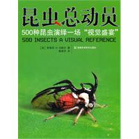 昆虫总动员-500种昆虫演绎一场视觉盛宴