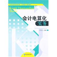 会计电算化实务