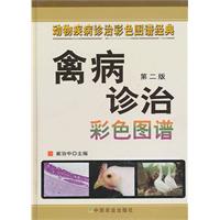禽病诊治彩色图谱