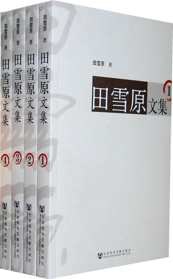 田雪原文集-共四册