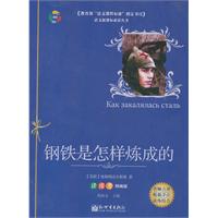 钢铁史怎样炼成的-读练考精编版