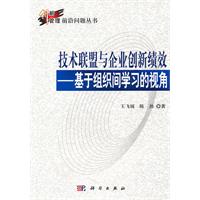 技术联盟与企业创新绩效-基于组织间学习的视角