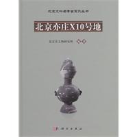 北京亦庄X10号地