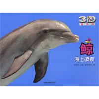 鲸-海上喷泉