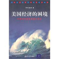 美国经济的困境-中国如何避免美国式危机