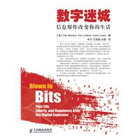 数字迷城-信息爆炸改变你的生活