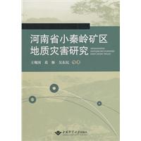 河南省小秦岭矿区地质灾害研究