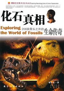 化石真相:206块骨头之外的生命传奇