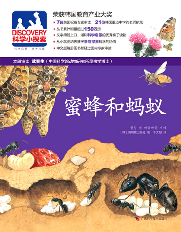蜜蜂和蚂蚁-DISCOVERY科学小探索