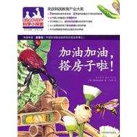 加油加油.搭房子啦-DISCOVERY科学小探索