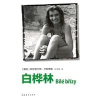 白桦林