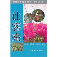 仙客来-彩图版养花说明书