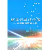 直挂云帆济沧海-资源融资战略分析