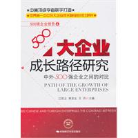 大企业成长路径研究-中外500强企业之间的对比