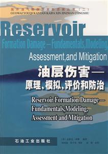 油层伤害——原理、模拟、评价和防治