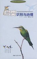 鸟类识别与治理