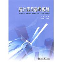 统计实习指导教程