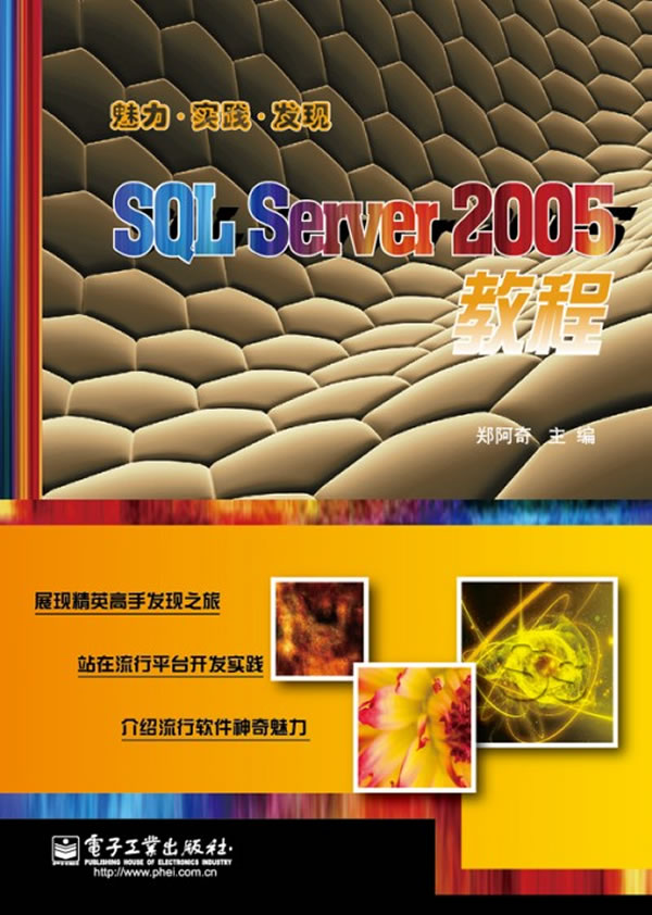 魅力.实践.发现 SQL SERVER2005教程