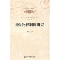 担保物权制度研究