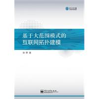 基于大范围模式的互联网拓扑建模