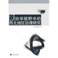 政治学视野中的西北地区治理研究