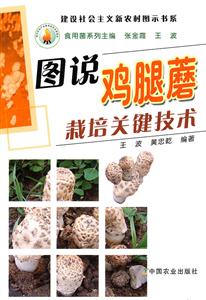 图说鸡腿蘑栽培关键技术