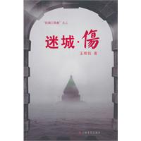 迷城.伤-狂澜三部曲之二