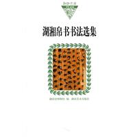 湖湘帛书书法选集