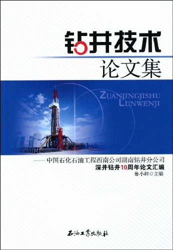 钻井技术论文集:中国石化石油工程西南公司湖南钻井分公司深井钻井10周年论文汇编