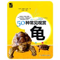 50种常见观赏龟