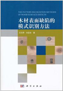 木材表面缺陷的模式识别方法