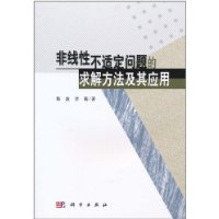 非线性不适定问题的求解方法及其应用