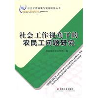 社会工作视角下的农民工问题研究