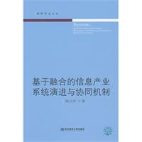 基于融合的信息产业系统演进与协同机制