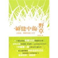 关于二流大专生到年薪30万的毕业论文范文