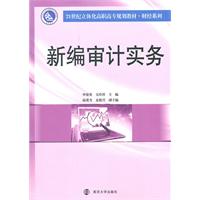 新编审计实务