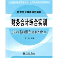 财务会计综合实训(职业岗位技能规划教材)
